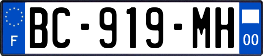 BC-919-MH