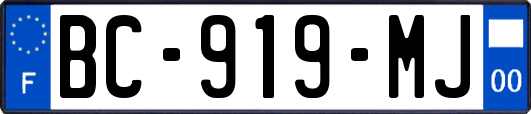 BC-919-MJ
