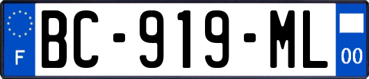 BC-919-ML