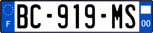 BC-919-MS