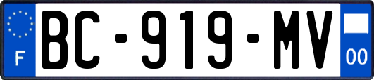 BC-919-MV