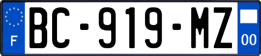 BC-919-MZ
