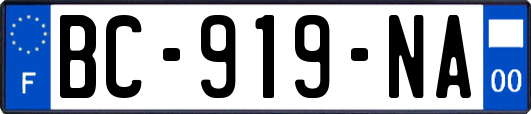 BC-919-NA