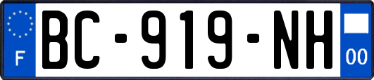BC-919-NH
