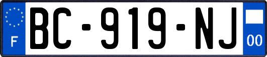 BC-919-NJ
