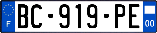 BC-919-PE