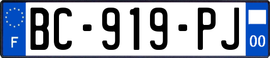BC-919-PJ