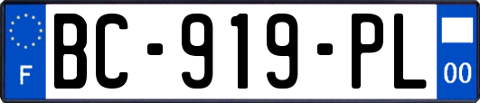BC-919-PL