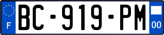 BC-919-PM