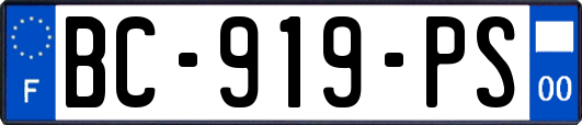 BC-919-PS