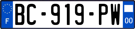 BC-919-PW