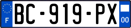 BC-919-PX