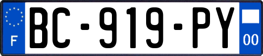 BC-919-PY