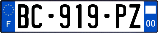 BC-919-PZ