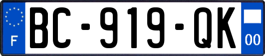 BC-919-QK