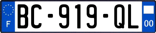 BC-919-QL