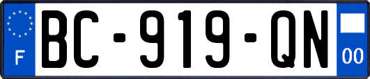 BC-919-QN