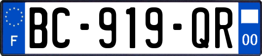 BC-919-QR