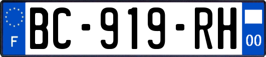 BC-919-RH