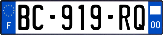 BC-919-RQ