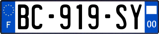 BC-919-SY