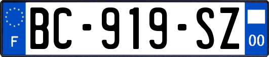 BC-919-SZ