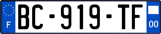 BC-919-TF