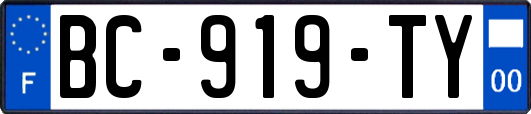 BC-919-TY