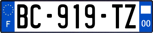 BC-919-TZ