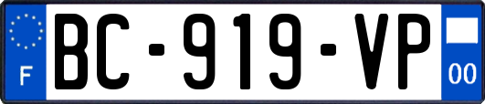 BC-919-VP