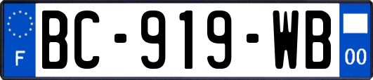BC-919-WB