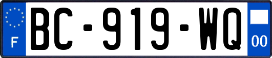 BC-919-WQ