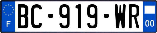 BC-919-WR