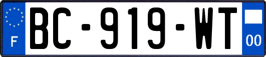 BC-919-WT