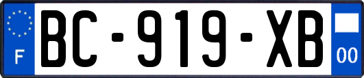 BC-919-XB