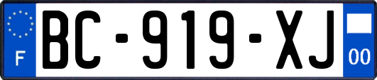 BC-919-XJ