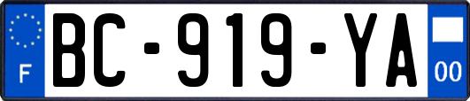BC-919-YA