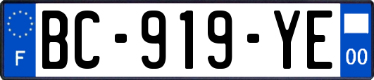 BC-919-YE