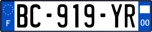 BC-919-YR