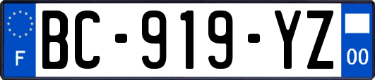 BC-919-YZ