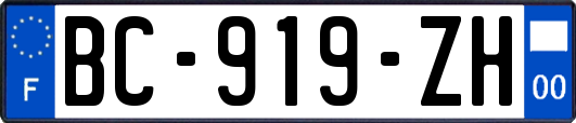 BC-919-ZH