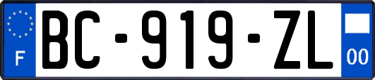 BC-919-ZL