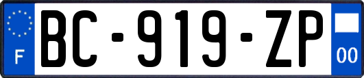 BC-919-ZP