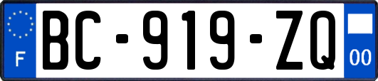 BC-919-ZQ