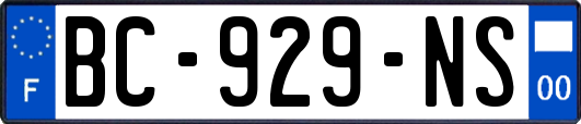 BC-929-NS