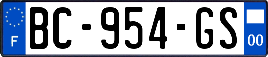 BC-954-GS