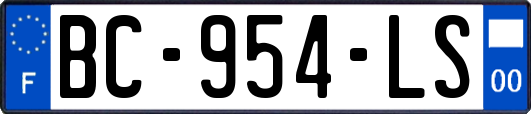 BC-954-LS