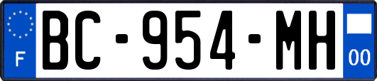 BC-954-MH