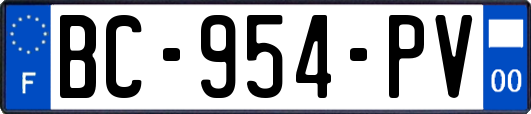 BC-954-PV