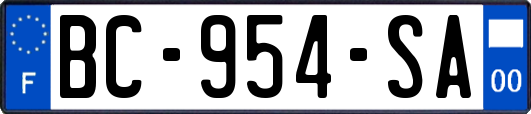 BC-954-SA